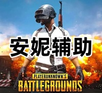 绝地求生安妮辅助（变态功能 专注娱乐）
