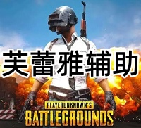 绝地求生芙蕾雅辅助（自瞄 无脑登录）